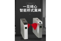 小區(qū)幼兒園自動(dòng)擺閘  刷卡人臉識(shí)別翼閘圓弧款