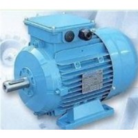 法國(guó)T-T Electric電機(jī)