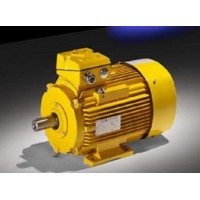 德國(guó)VEM電機(jī)