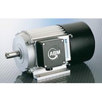 德國ABM Greiffenberger電機